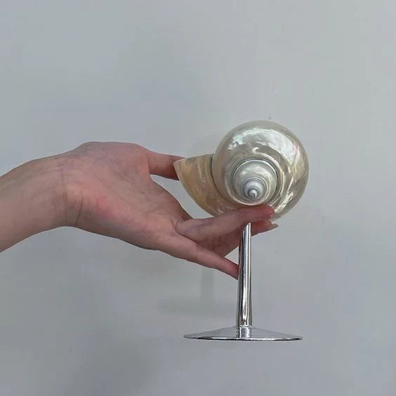 Seashell Glas