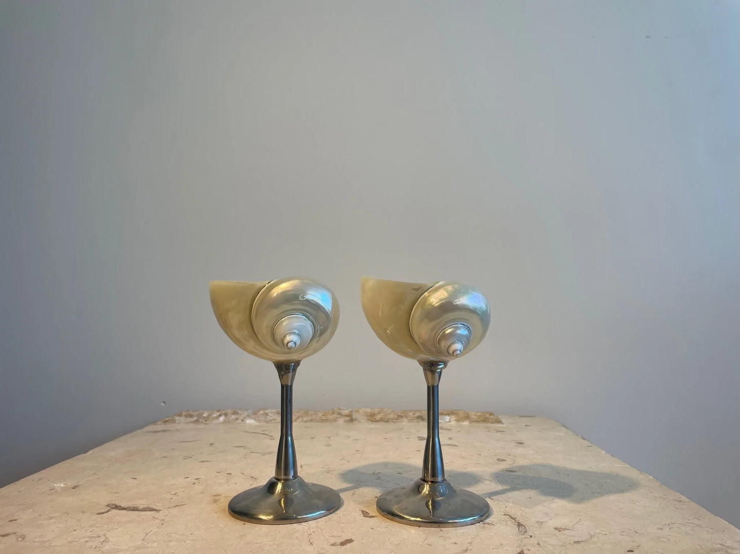 Seashell Glas