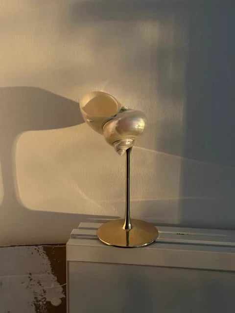 Seashell Glas