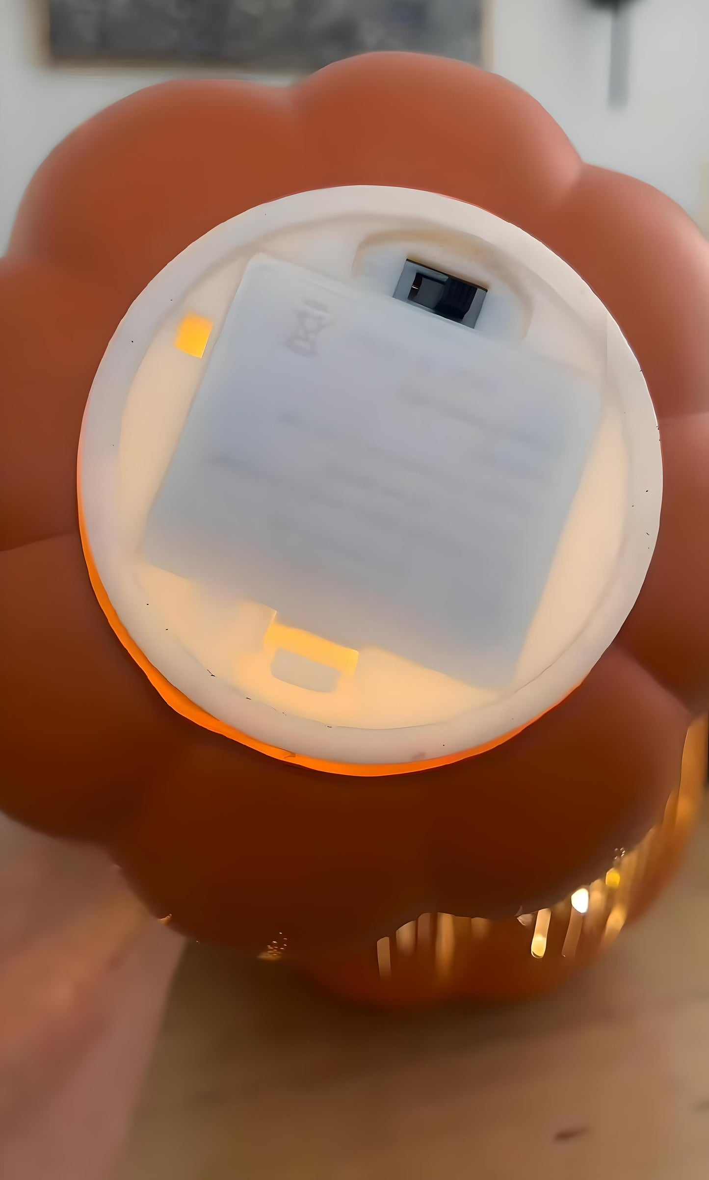 LED Leuchtkürbis